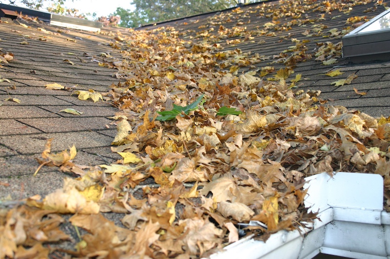 leaves on a roof and in gutters