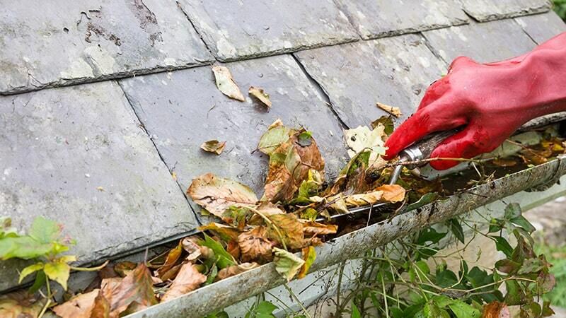 Clogged rain gutters on a home